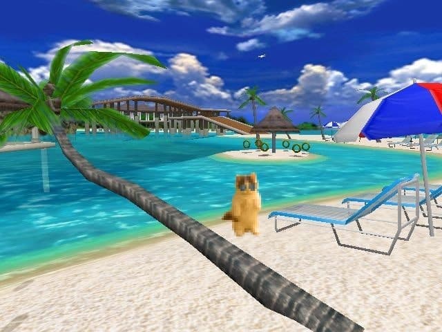 outdoors pool beach sunny