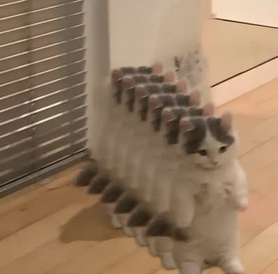 stacked cult group gang funny