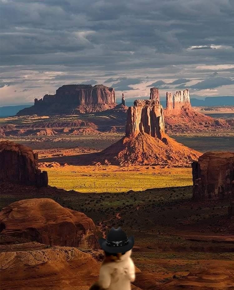 stagecoach outdoors mountains