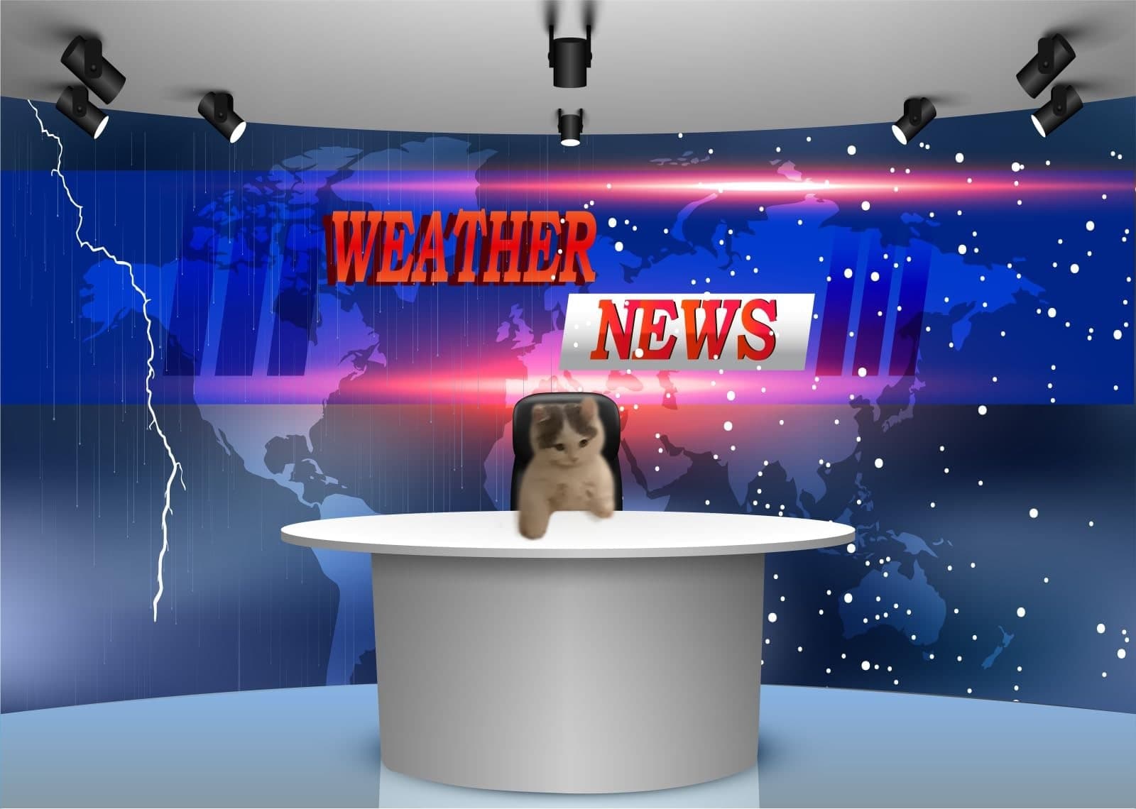 weather tv television news