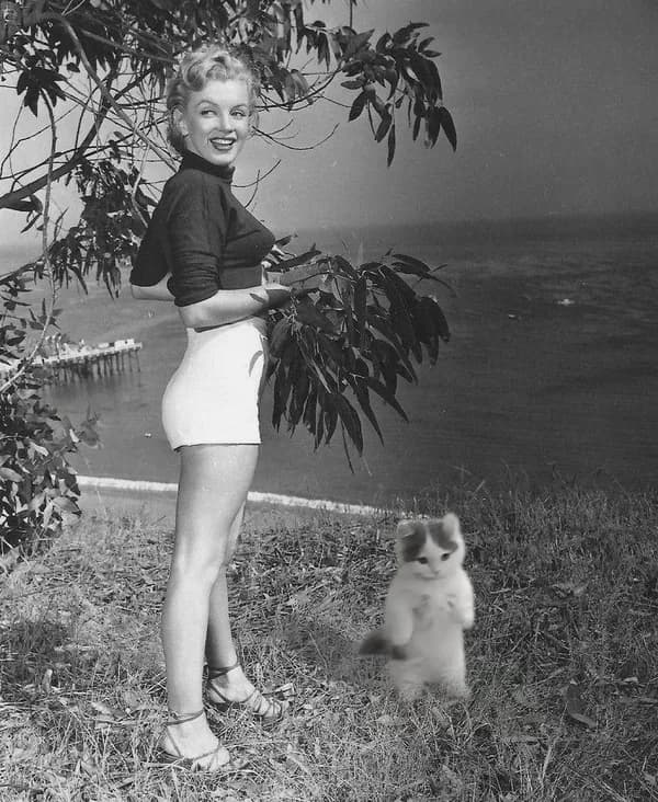 marilyn girl
