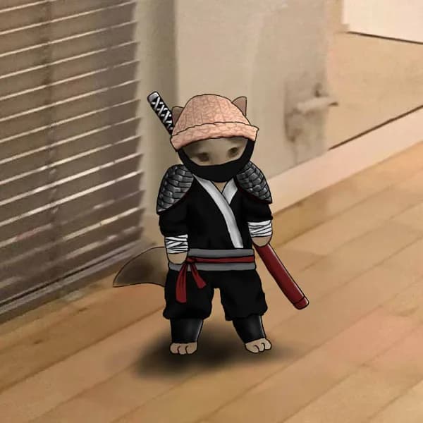 ninja hat sword