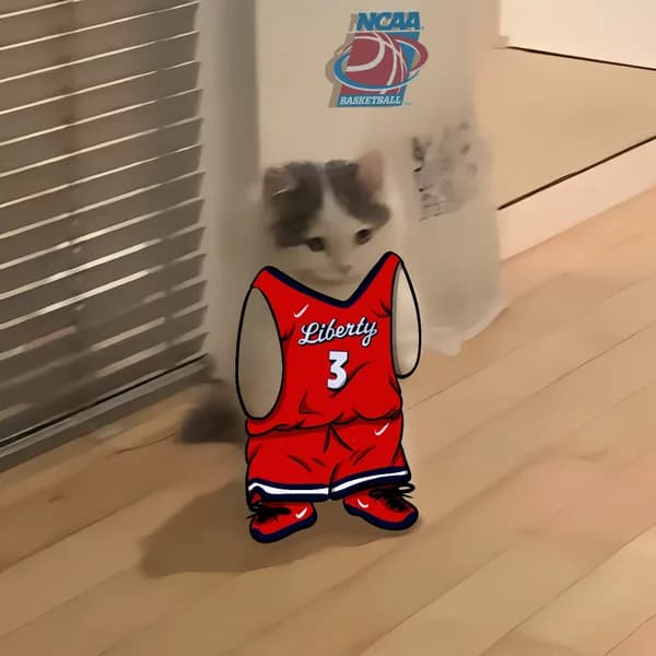 march madness ncaa basketball liberty flames
