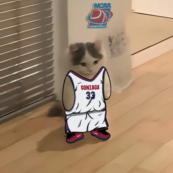 march madness ncaa basketball gonzaga bulldogs
