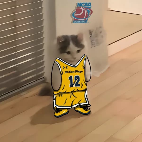 march madness ncaa basketball ucsd triton