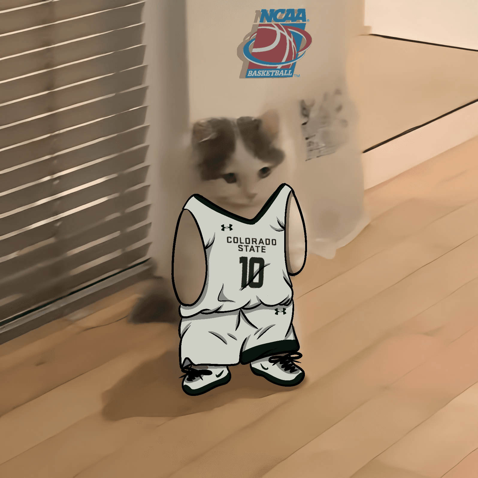 march madness ncaa basketball colorado state rams