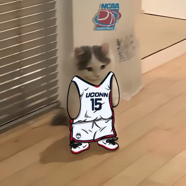 march madness ncaa basketball uconn huskies