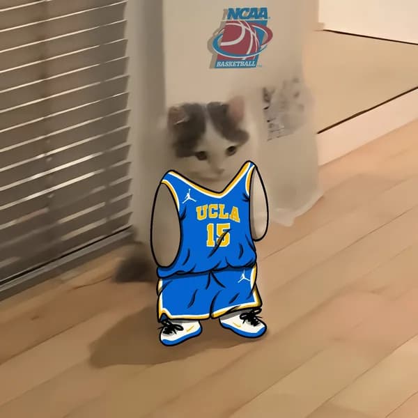march madness ncaa basketball ucla bruins