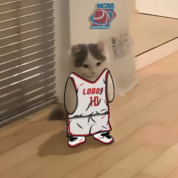 march madness ncaa basketball lobos new mexico