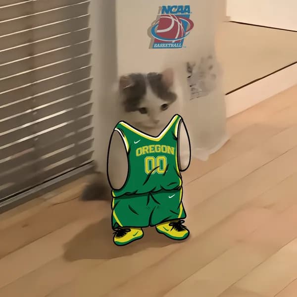 march madness ncaa basketball oregon ducks