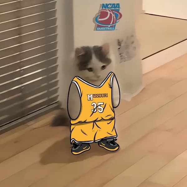 march madness ncaa basketball missouri tigers