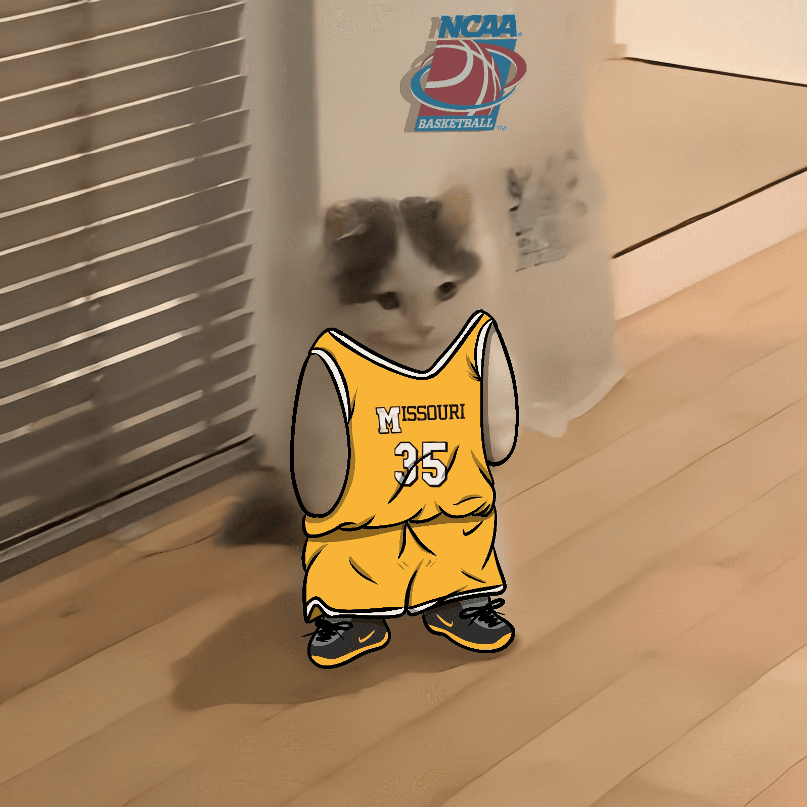 march madness ncaa basketball missouri tigers