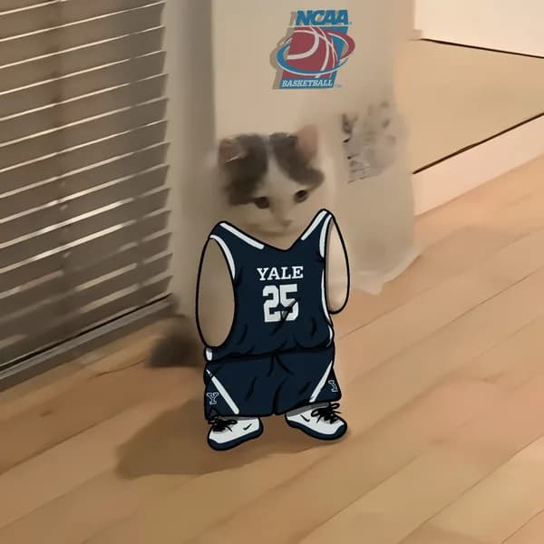 march madness ncaa basketball yale bulldogs