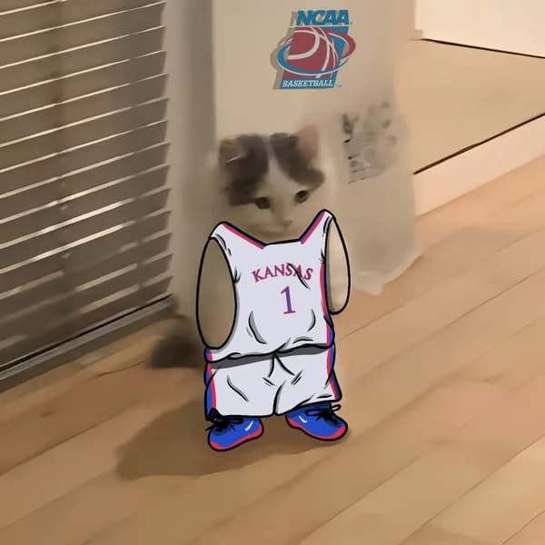 march madness ncaa basketball kansas jayhawks