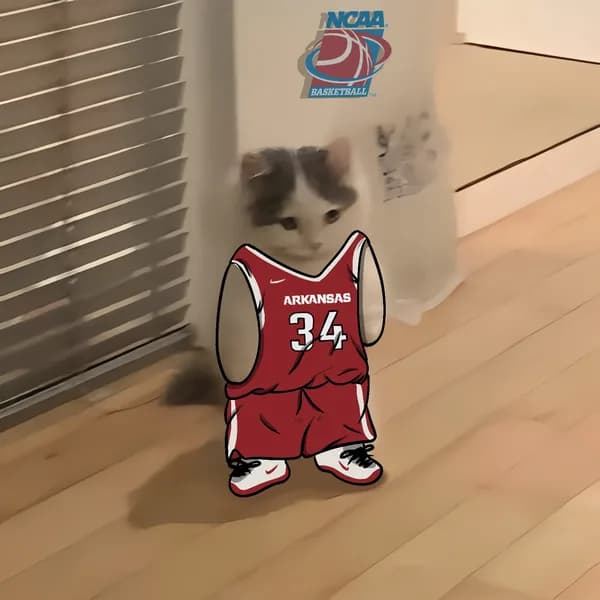 march madness ncaa basketball arkansas razorbacks