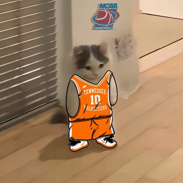 march madness ncaa basketball tennessee volunteers