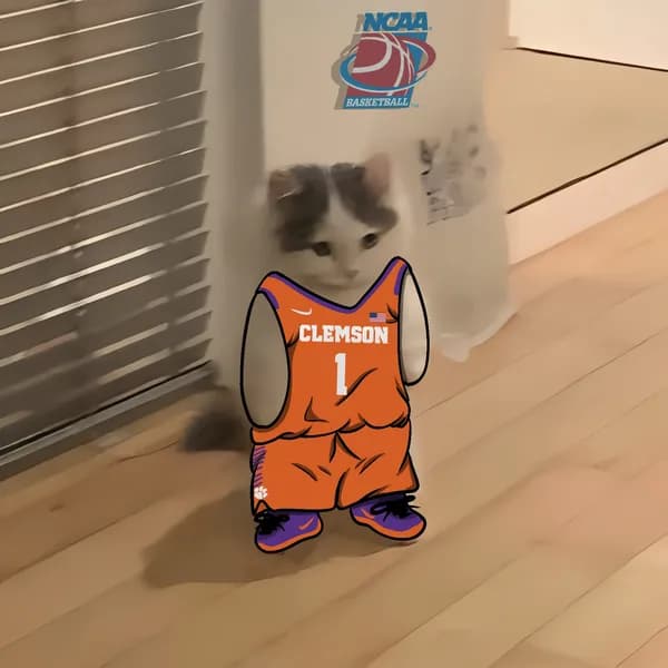 march madness ncaa basketball clemson tigers