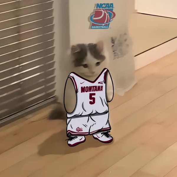 march madness ncaa basketball grizzlies montana