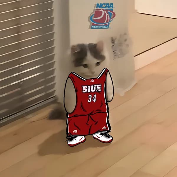 march madness ncaa basketball siue edwardsville cougars