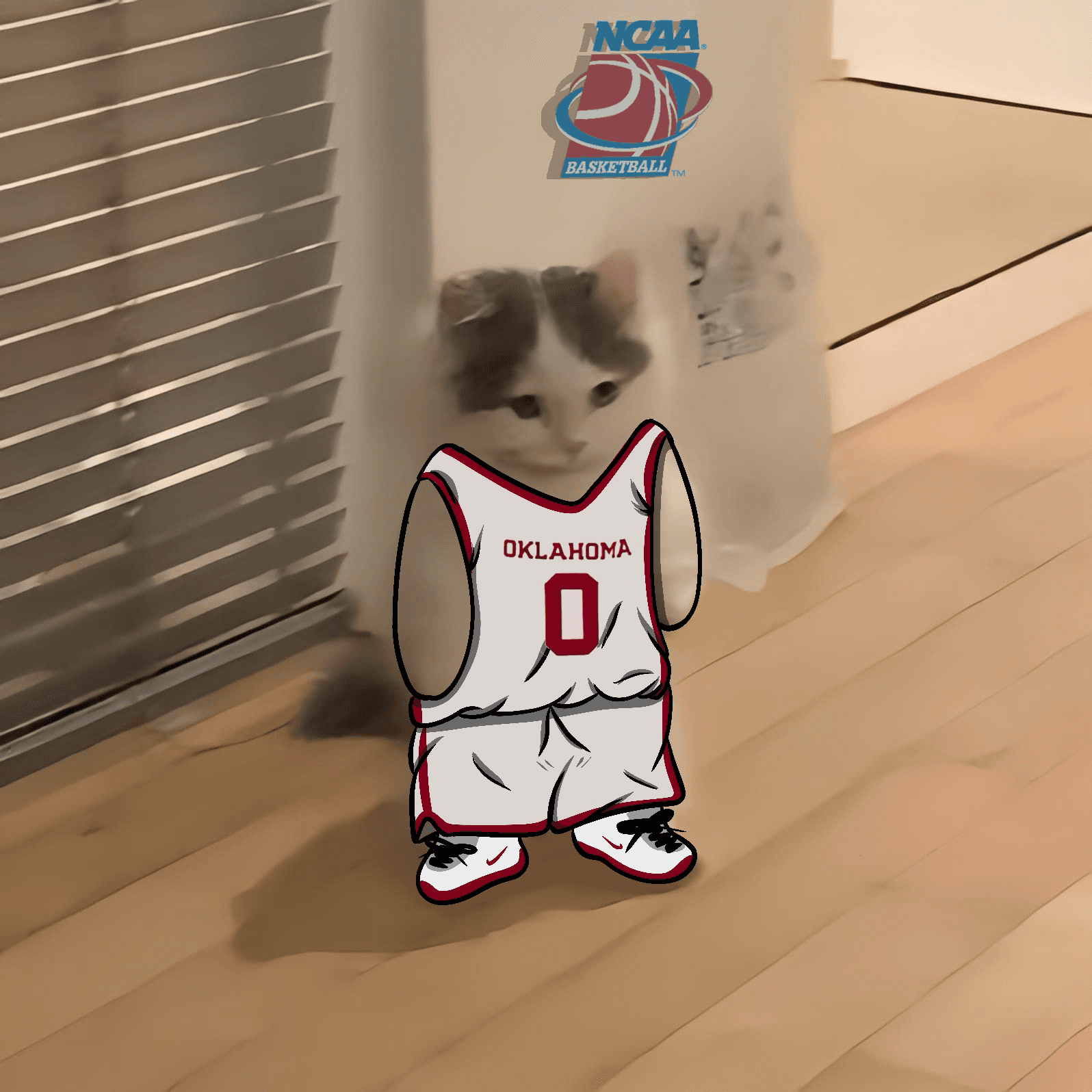 march madness ncaa basketball oklahoma sooners