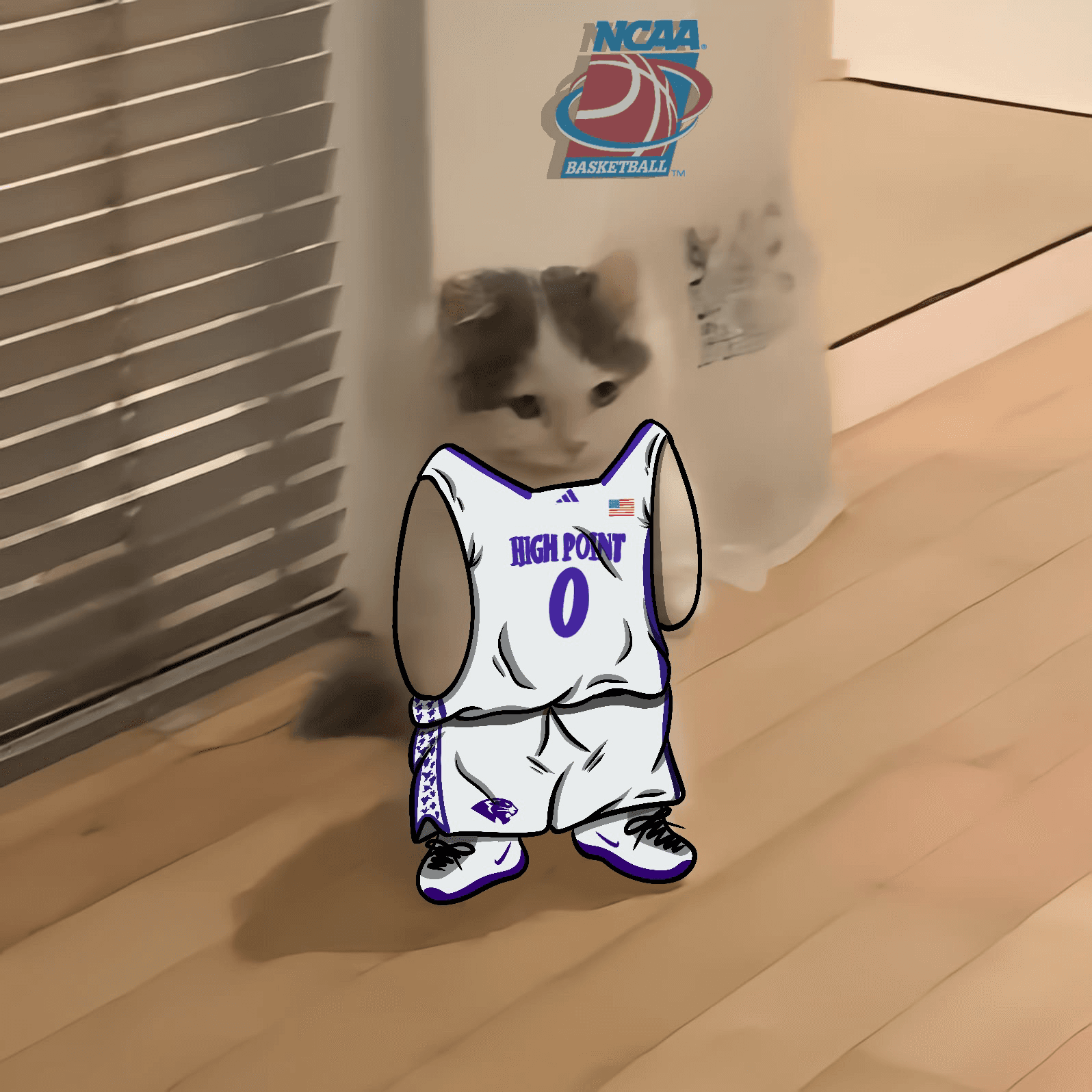 march madness ncaa basketball high point panthers