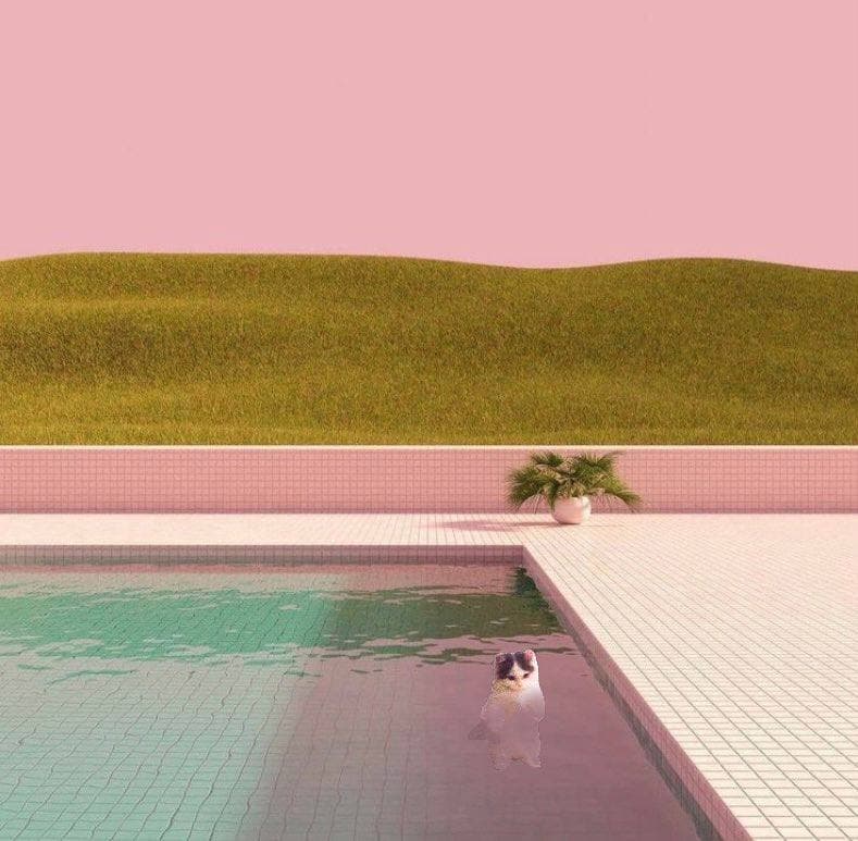 pool vibes destination