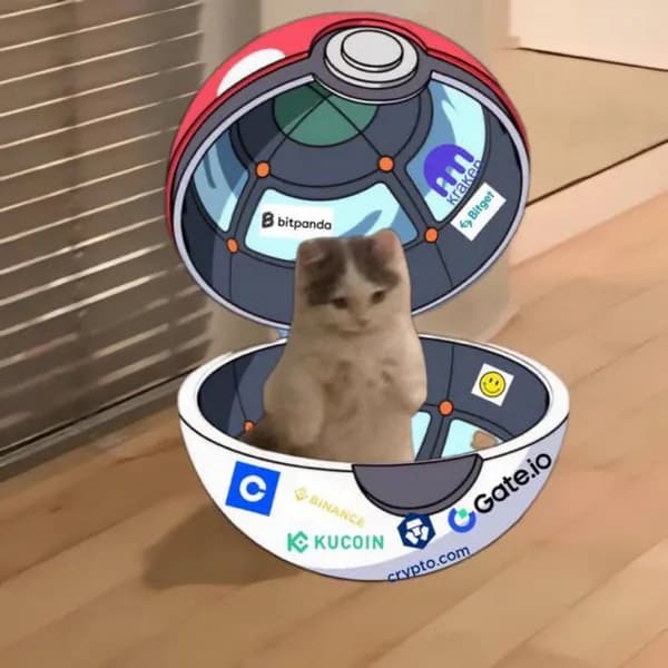 pokemon pokeball exchanges