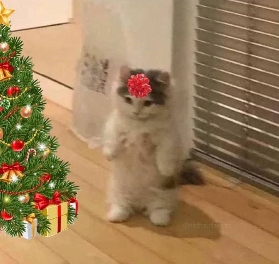 christmas xmas gift bow