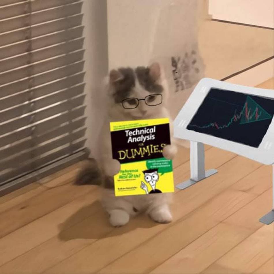 nfa financial advice quant study