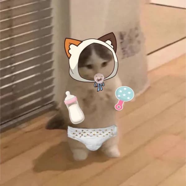 baby cute