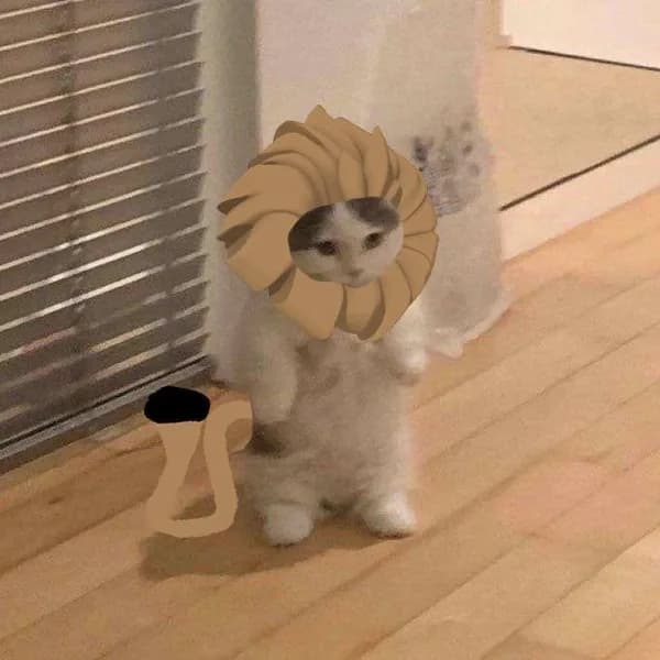 lion leo