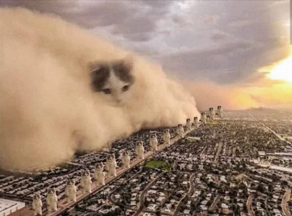storm engulf funny