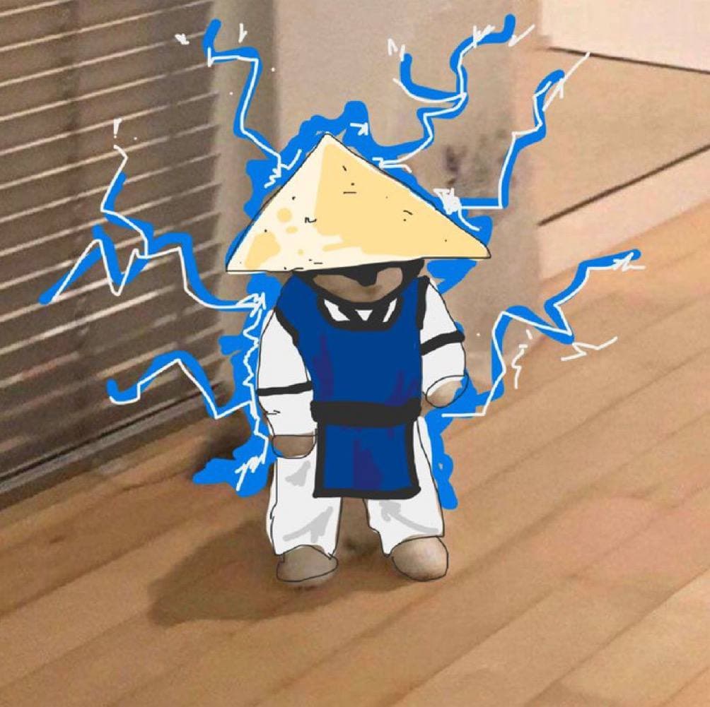 mortal kombat raiden game