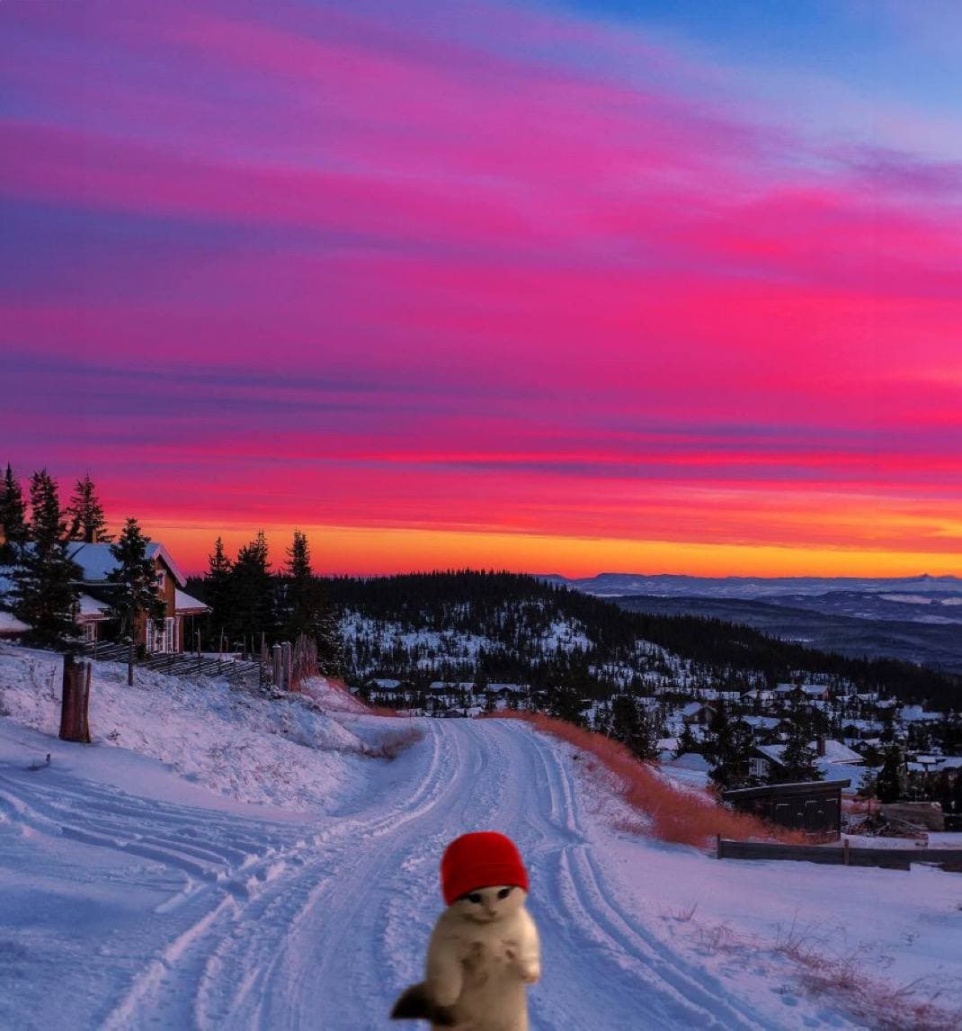 winter mood aesthetic snow