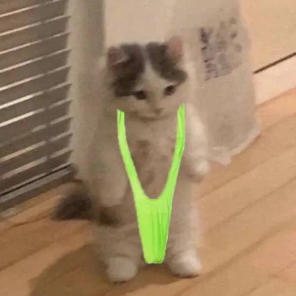 borat bikini funny