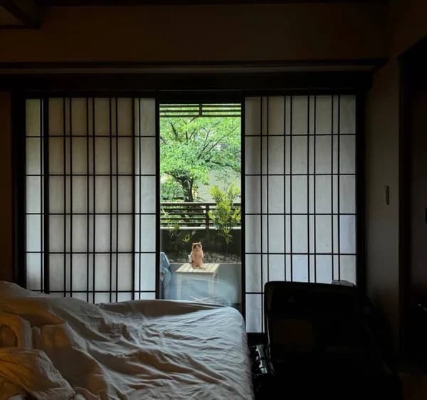 zen relax room