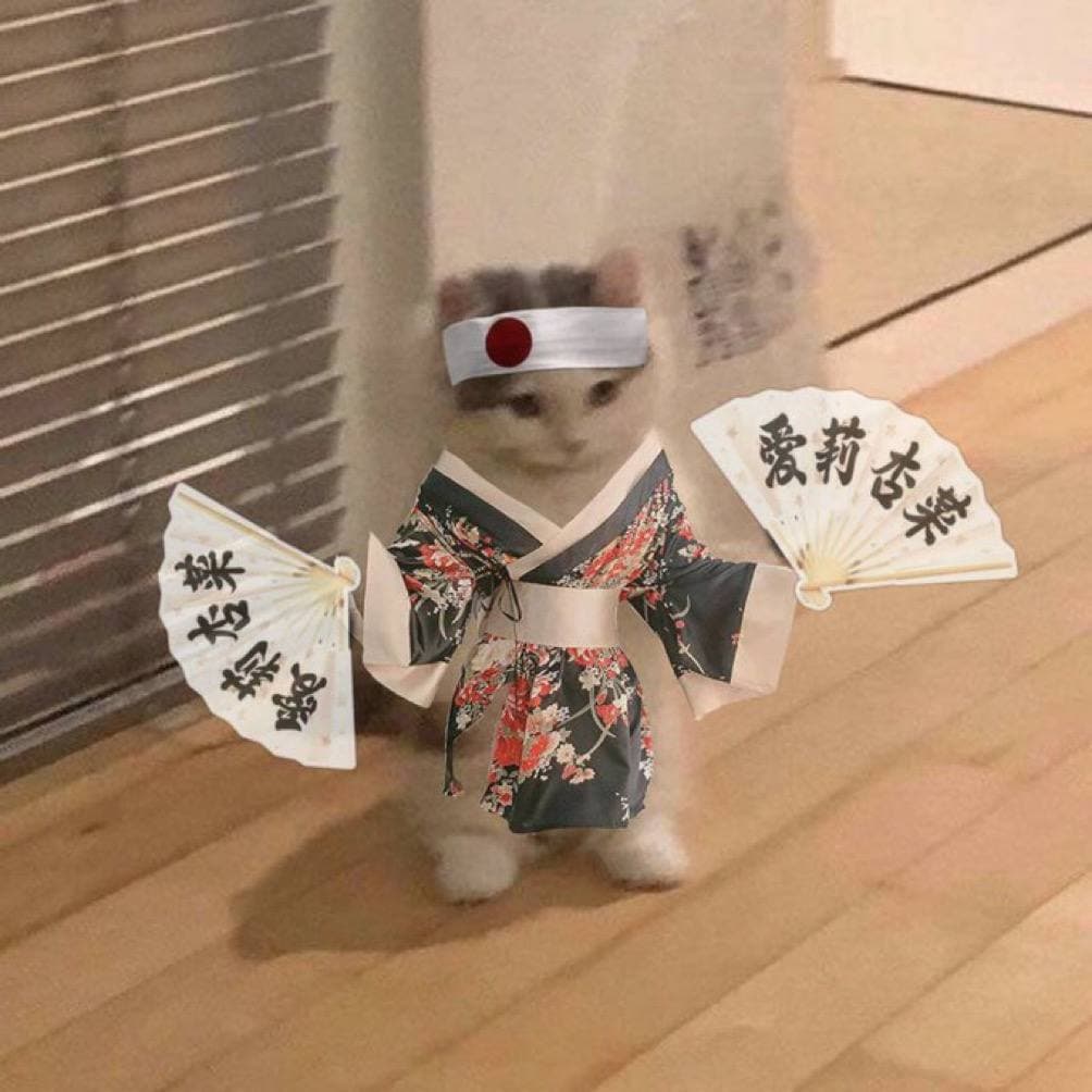 gmichiwa japan japanese