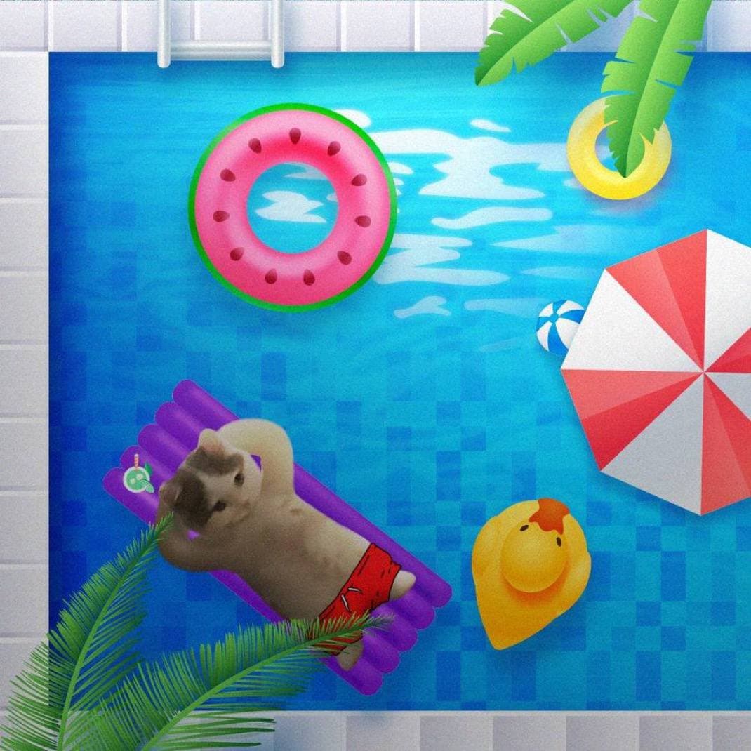 mood vibe pool michillin