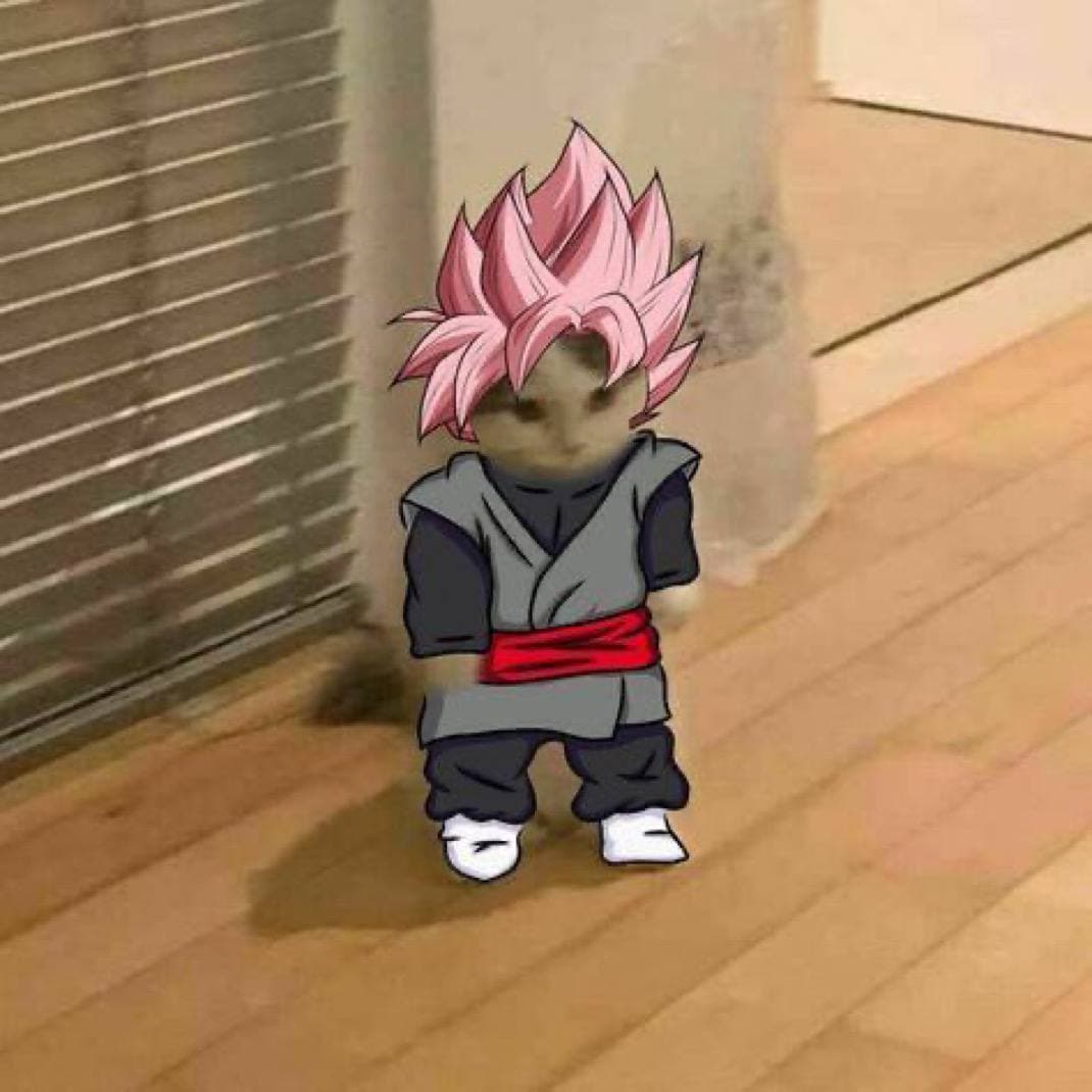 dbz gohan dragon ball