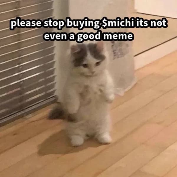 sarcastic meme