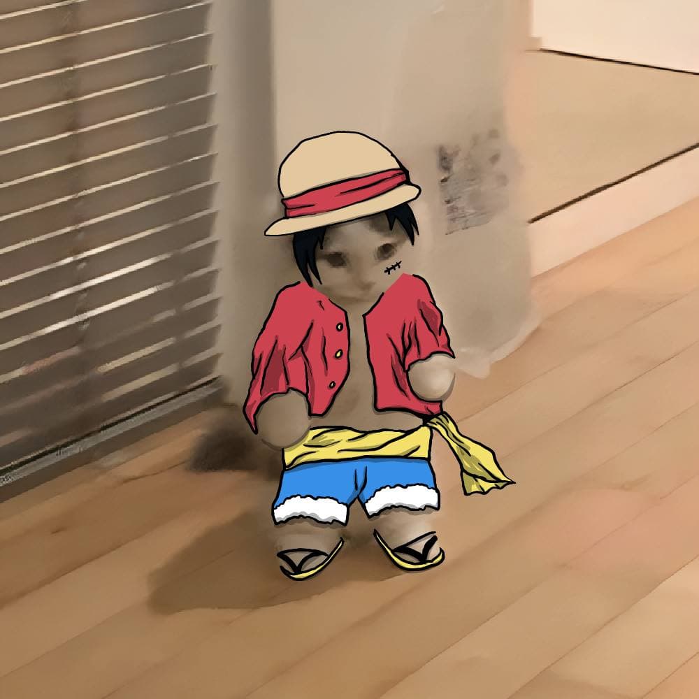 onepiece luffy anime