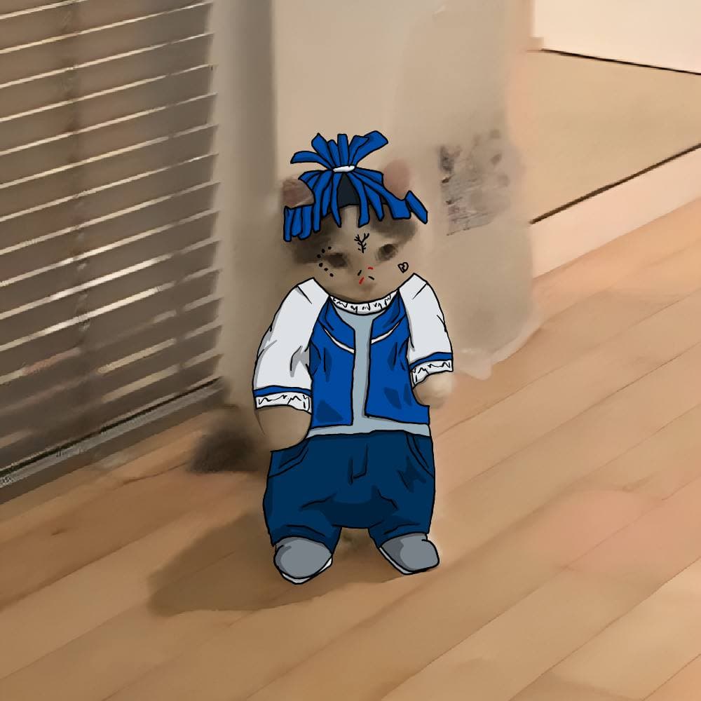 xxxtentacion celebrity