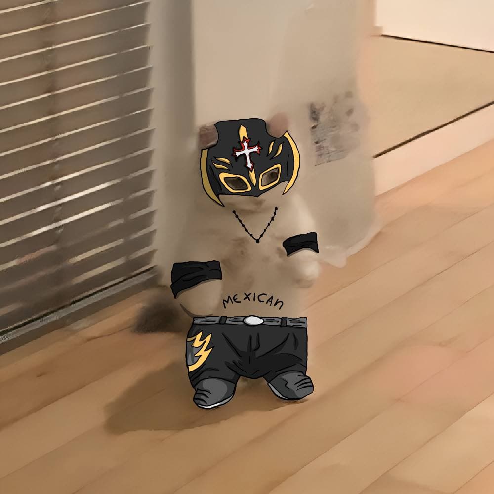 ray mysterio wrestler wrestling wwe