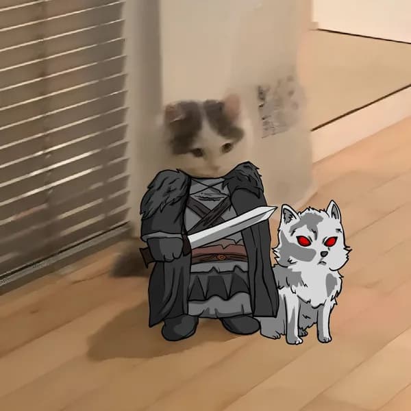 john snow gameofthrones got