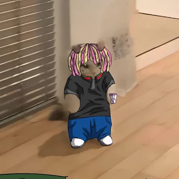 lil pump celebrity