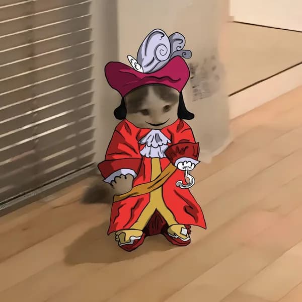 hook pirate