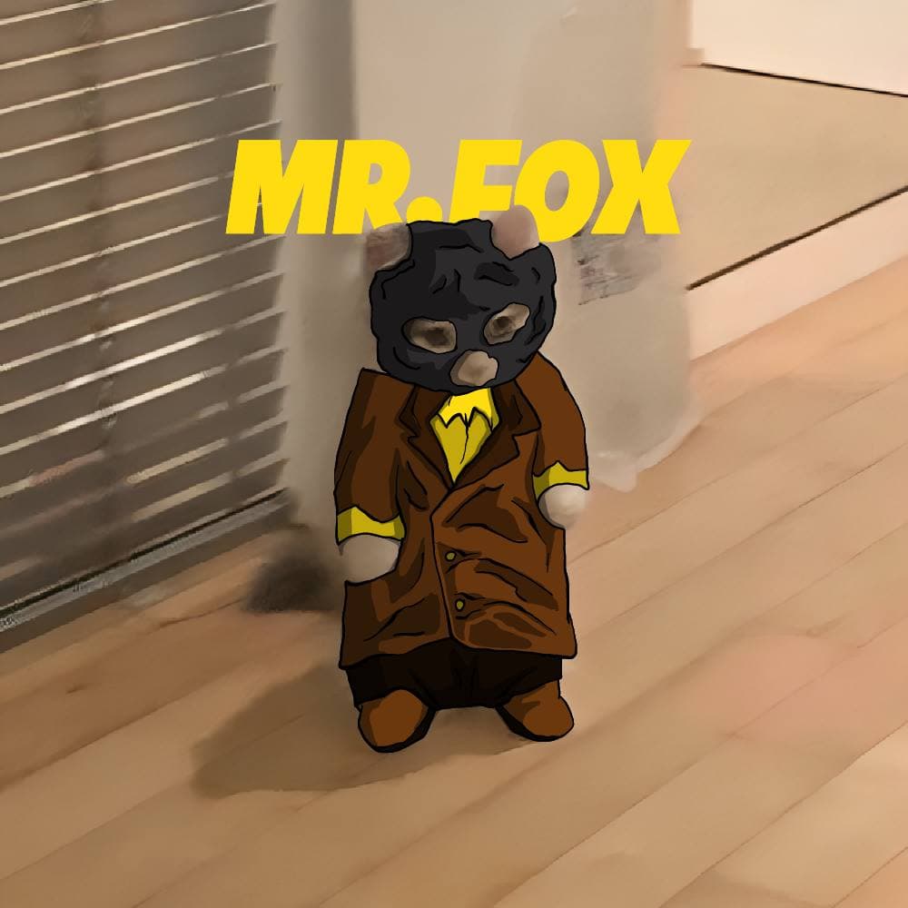 mrfox