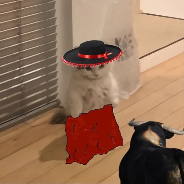bull cowboy