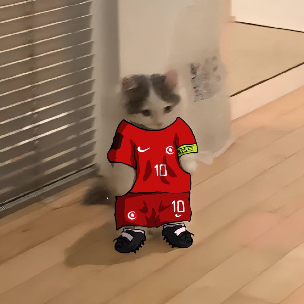 soccer football euro sports turkey