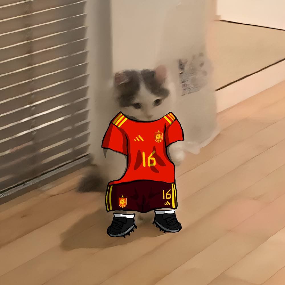 soccer football euro sports spain